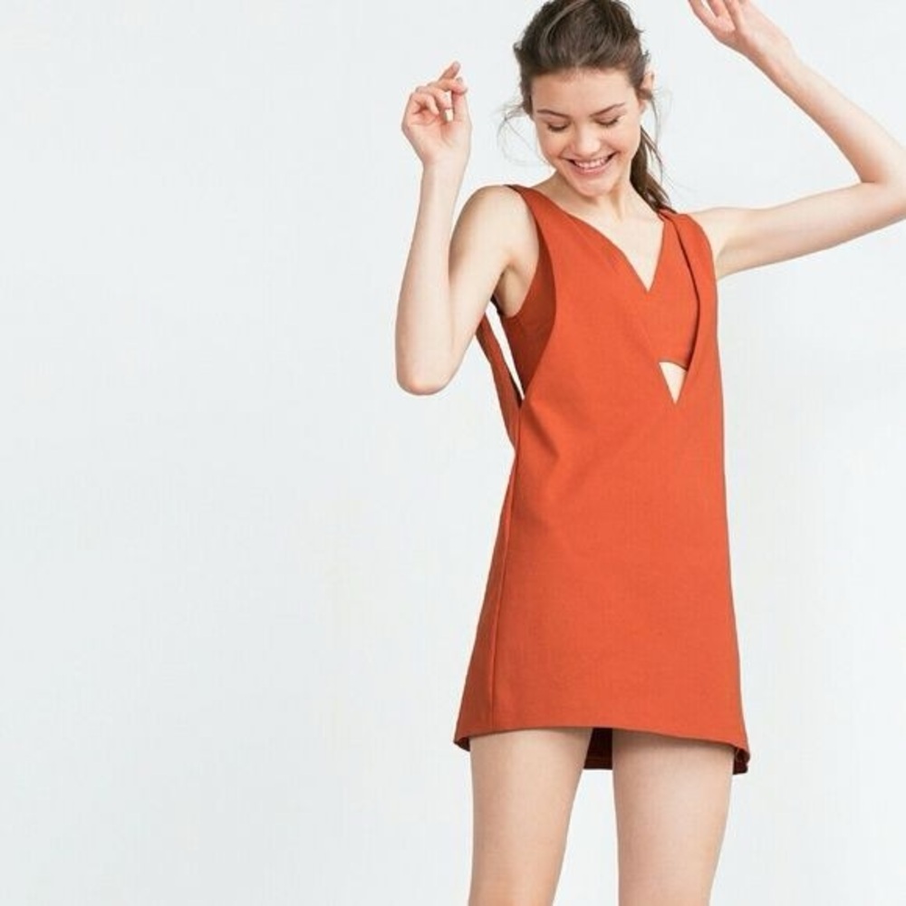 NWOT Zara Trafaluc dress